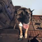 Mitch Ring - Facebook