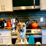 Mitch Schwartz - @mjschwartz12 - Instagram