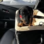 Mitch Schwartz - @mitch.schwartz.583 - Instagram