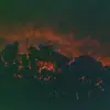mitch - @mitcheysimon - TikTok