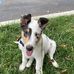 Mitch Stewart - Facebook