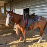 Mitch Thomas - @mitch.thomas.180 - Instagram