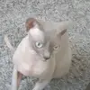 Mitch Thornton - @mitchthornton - TikTok
