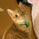 Mitch Turner - @__mitchturner__ - Instagram