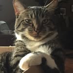 Mitch Waldrep - @mitch.waldrep - Instagram