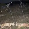 Mitch Webb - @mitch.webb08 - TikTok