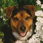 Mitch Witt - @mitchdog1965 - Instagram