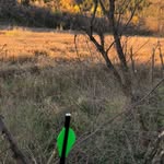 Mitchell - @mitchwitt2018 - Instagram