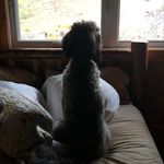 Mitch Wolfe - @mitchwolfe5 - Instagram