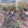 Mitchell - @mitchell_green4458 - TikTok