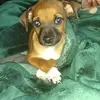 Mitchel Rodriguez - @mitchel.rodriguez35 - TikTok