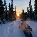 Mitchell - @mitchell_abbott - Instagram