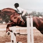 Tonya D. Mitchell Abbott - @abbott.tonya - Instagram