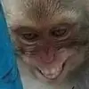 Mitchell aalbers - @mitchellaalbers - TikTok