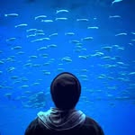 Mitchell Angelo Phillips - @slow_pesci - Instagram