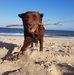 Mitchell Baker - Facebook