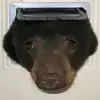 Mitchell Baldwin - @mitchell._.baldwin - TikTok