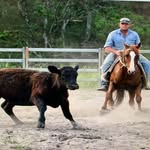 Mitchell Ball - @mitchell.ball.3954 - Instagram