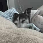 Mitchell Barber - @itchymitch12 - Instagram