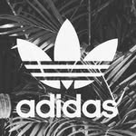 Mitchell bath - @mitchell_bath - Instagram