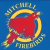 Mitchell Vs Battles - @mitchell.vs.battles - TikTok