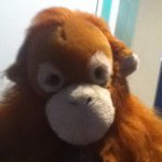 I Found My Brother - @mitchell_bell_101 - Instagram