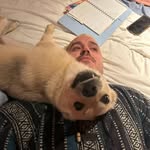 Mitchell Bell - @mitchbell31 - Instagram