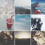 mitchell benjamin - @m__benjamin - Instagram