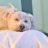Mitchell Bergman - @mitchell.bergman - TikTok