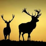 mitchell bingham - @mitchell.bingham.101 - Instagram