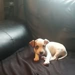 Bodean Mitchell - @mitchellbodean - Instagram
