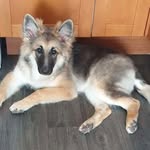 Mitchell Boyd - @mitchell.boyd08 - Instagram