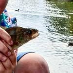 mitcho - @mitchell_boyd_ - Instagram