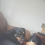 Mitchell Bozarth - Facebook