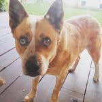 Mitchell Brady - @mitchell_1504 - Instagram