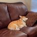 Mitchell Brayden - Facebook