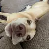 MitchellBucknerr - @mitchellbucknerr - TikTok