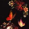 Michelle Buffum - @michellebuffum - TikTok