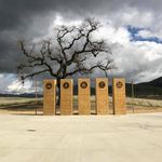 Mitchell Chambers - @mitchellchambers12 - Instagram