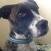 Mitchell Christiansen - Facebook