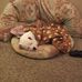 Mitchell Collier - Facebook