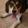mitchellconnolly06 - @mitchellconnolly06 - TikTok