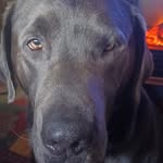 Mitchell Cooley - @mitch_cooley58 - Instagram