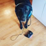mitchellcouchman - @mitchell__couchman - Instagram