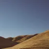 coymitchell - @coymitchell - TikTok