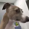 Mitch_C - @mitchellcurtis160 - TikTok