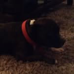 Mitchell Curtis - @_mitchell_curtis_ - Instagram
