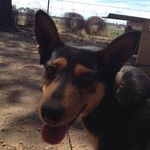 Mitchell Dale - @mitchelldale21 - Instagram
