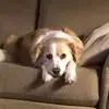 Mitch - @mitchell.darling - TikTok