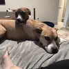 Mitchell Darlington white - @mitchell.darlingt - TikTok